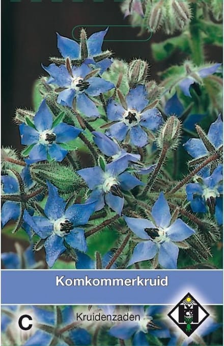 Van Hemert Zaden - Komkommerkruid (Borago officinalis)