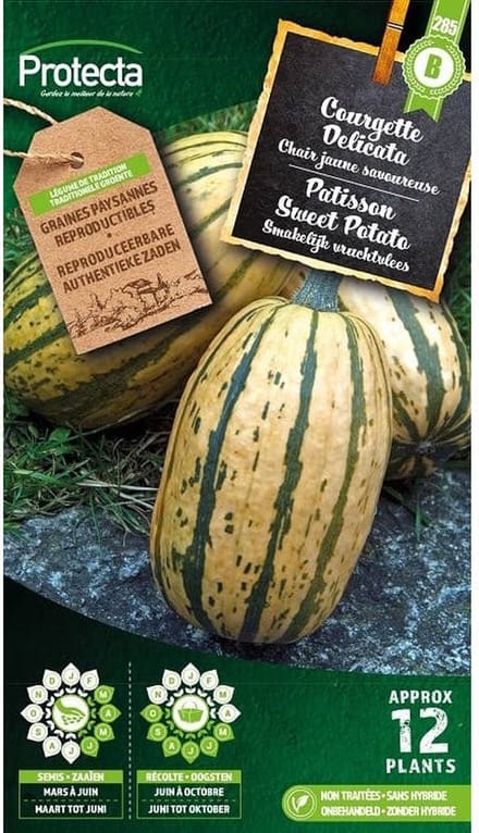 Protecta Groente zaden: Patisson Sweet Potato