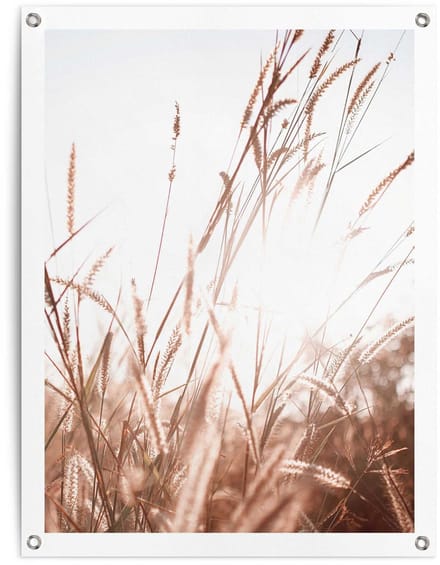 Tuinposter Zomer - 80 x 60 - Canvas - REINDERS