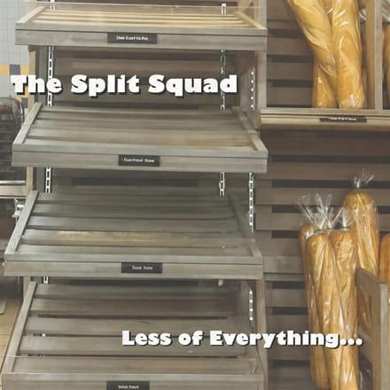 The Split Squad - Less Of Everything (LP)