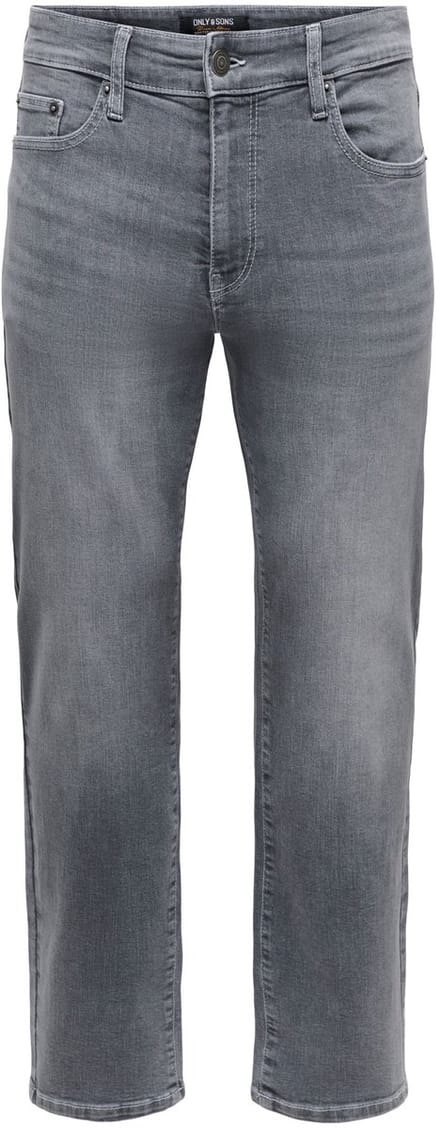 ONLY & SONS Regular fit ONSWEFT Low rise Regular fit Jeans