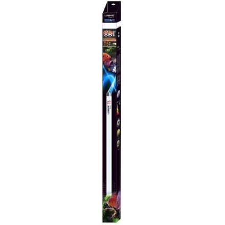Buis Aquavie Lumivie SB T5 80w