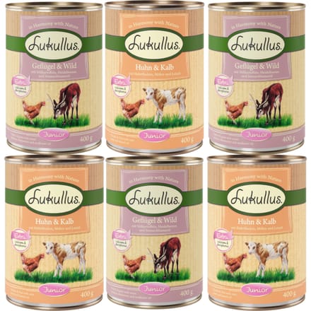 Lukullus Junior Mixpakket - 6 x 400 g