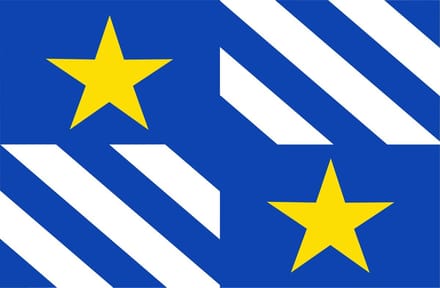 Vlag Olen 100x150cm