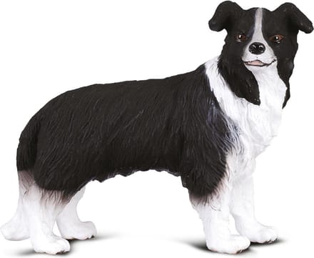 COLLECTA Figurine - Border Collie - (M) - Honden - Handgeschilderd - Miniatuur
