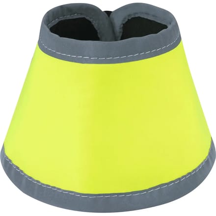 Paardenbellen Waldhausen Reflex
