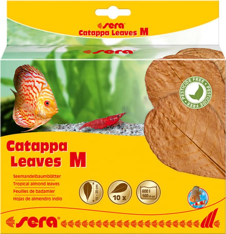 Sera Catappa Leaves 10 stuks 16-20CM