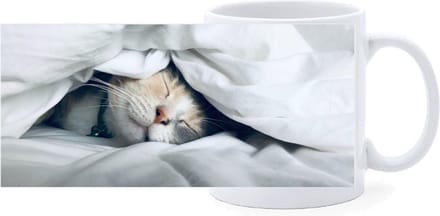 Bekers - Poes onder Laken
