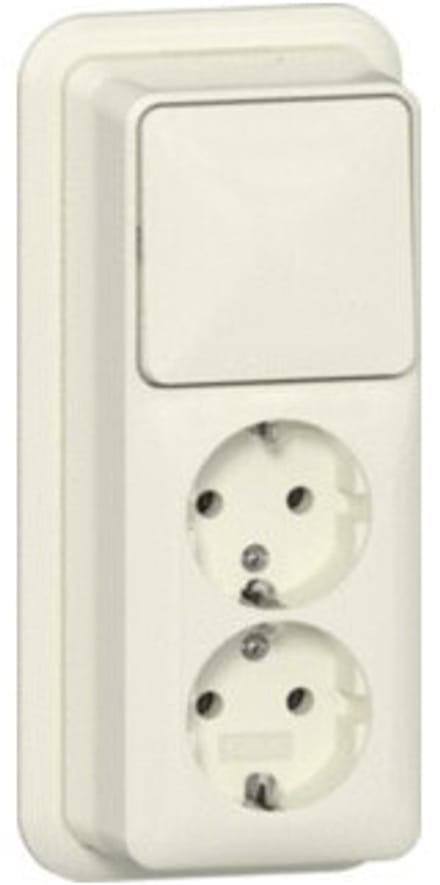 Gira Combinatie Wipschakelaar/Dubbele Wandcontactdoos Met Randaarde - 16 A - 250 V