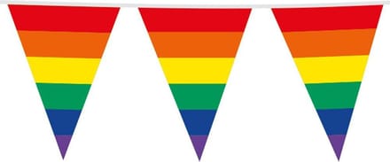 Vlaggen slinger XL regenboog - 30x45cm