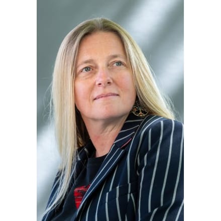 The Christmas Clue - Nicola Upson