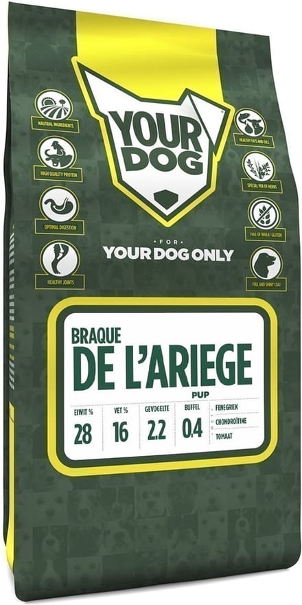Yourdog braque de l'ariege pup - 3 KG