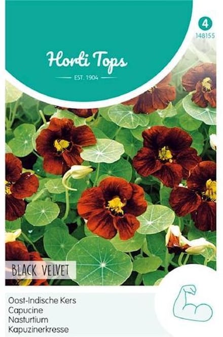 Hortitops Oost-Indische Kers Tropaeolum Black Velvet