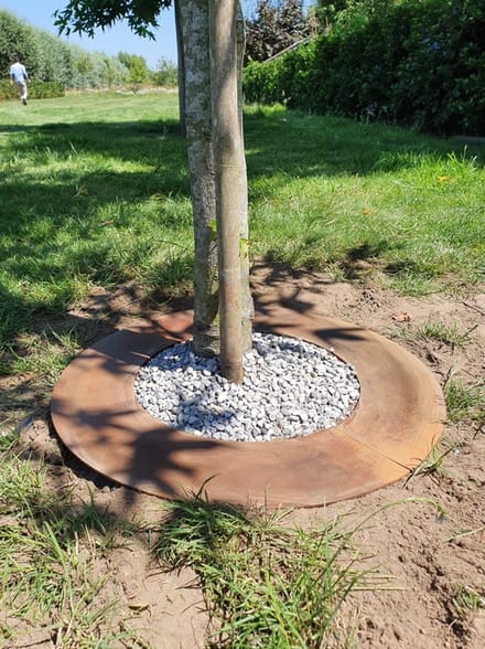 Boomring cortenstaal 75 cm | Per Stuk
