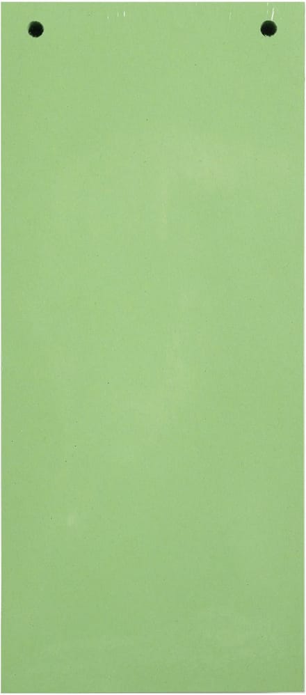 Exacompta 12x FOREVER® Pak van 100 horizontale tabstroken met perforatie 180g - 105x240mm - Groen - 13445B