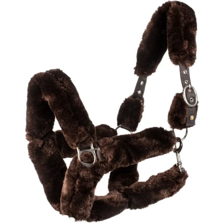 Bont halster voor paard Equestro