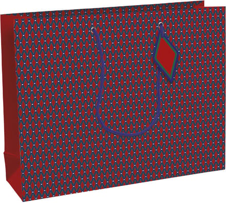 Clairefontaine cadeautas geometrisch groot