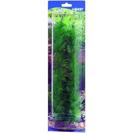 Aquarium accessoires Hobby Egeria
