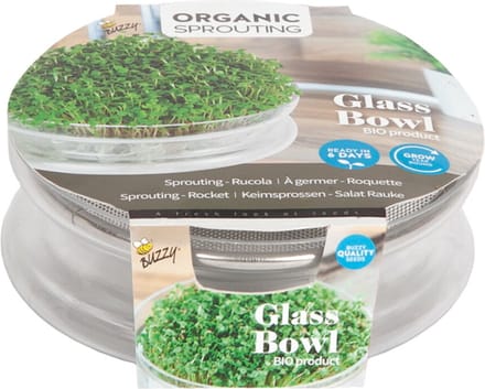 Buzzy Kweekset BIO Glazen Bowl