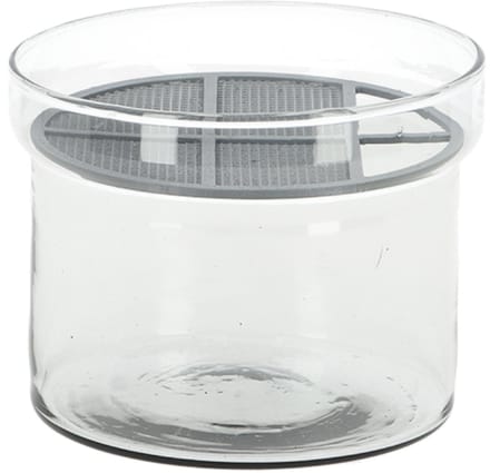 Esschert Design kiemgroente kweekset gerecycled glas