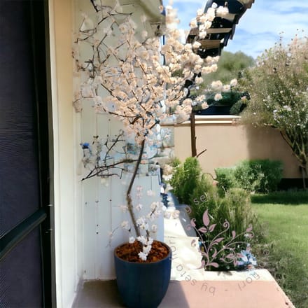 Seta Fiori - Kunst bloesemboom voor binnen - Sakura