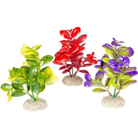 Aquarium planten decoratie Aqua Della Crassula
