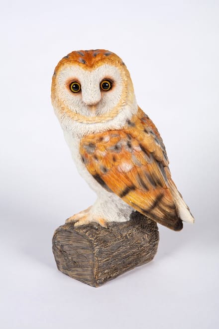 Kerkuil kuiken