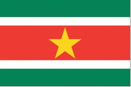 Surinaamse vlag 50x75cm