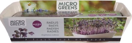 MicroGarden Buzzy Radijs Daikon Red