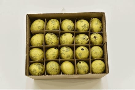 Paasartikelen - Quail Eggs Yellow Ocher 60pcs