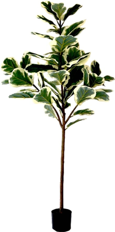 Neverleafs Kunstplant Ficus Lyrata Deluxe - 160cm