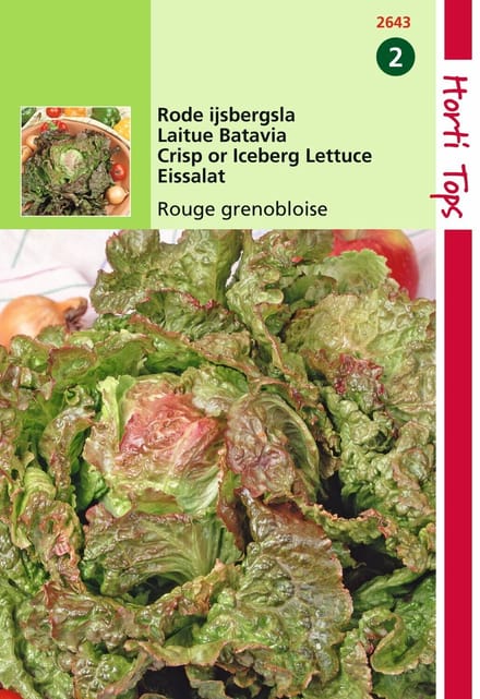 2 stuks - Hortitops - Kropsla Rouge Grenobloise
