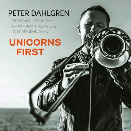 Peter Dahlgren - Unicorns First (CD)