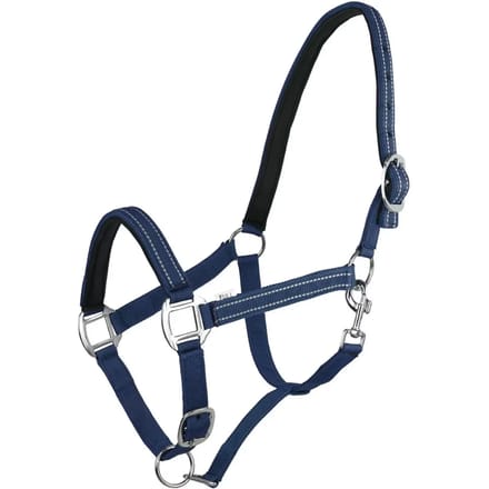 Halster voor paarden York Teo