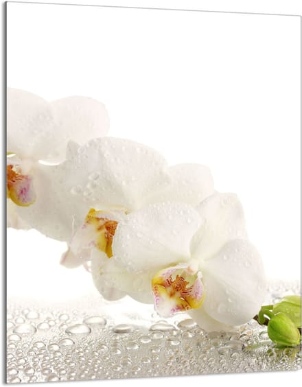 TMK ArtDeko - Snijplank van getemperd glas - 40x52 cm - Orchidea - Beschermpaneel