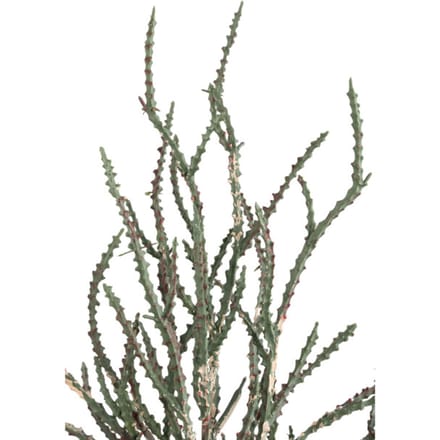 PTMD - Kunstblad Leaves - Groen - 37x46x50cm