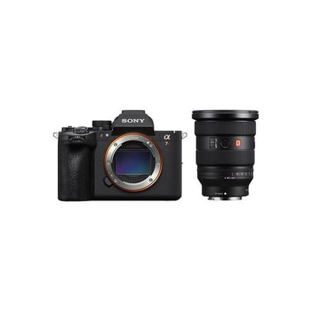 Sony Alpha 7R VI (ILCE-7RM6) + SEL 100-400mm f/4.5 GM OSS