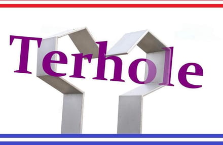 Terholese vlag van Terhole 100 x 150cm