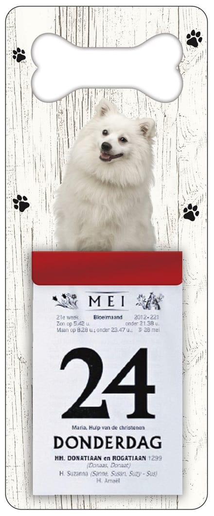 Scheurkalender 2027 Hond: Japanse Spits