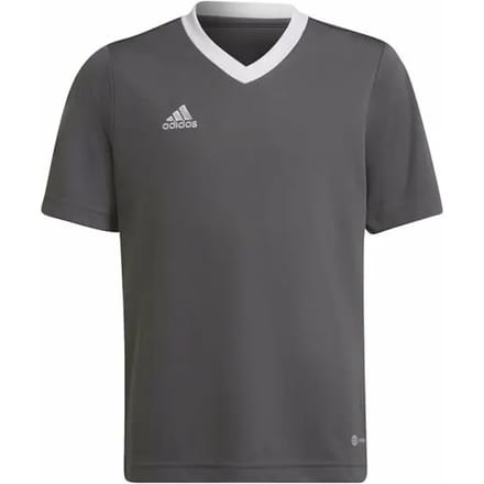 adidas Performance Entrada 22 Voetbalshirt - Kinderen - Grijs - 116