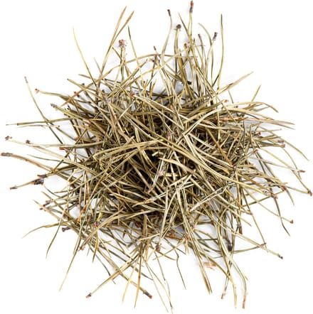 Dennen Naalden Thee Kwaliteit - Dennen Naalden - 100 gram