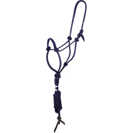 Halster en longe voor paard met knoop Pool's