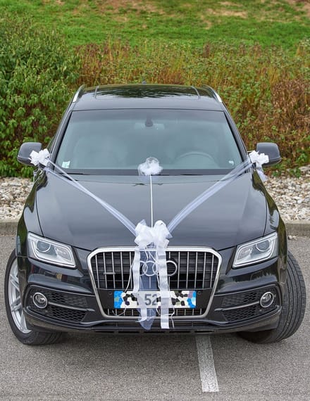 HOBI - Decoratiekit voor trouwauto met tule en strikken