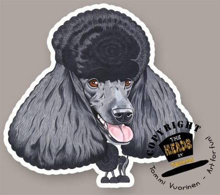 Magneet Hond Poedel