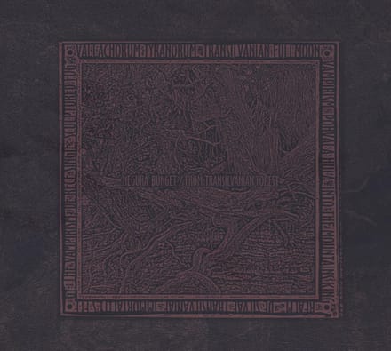 From  Forests -Ltd/Digi-
