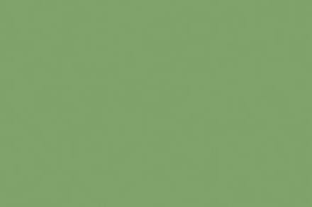 Tekenpapier Folia appelgroen - 50x70cm 130gr pak 25 vel