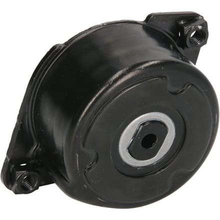 Riemspanner, Poly V-riem SNR GA350.52