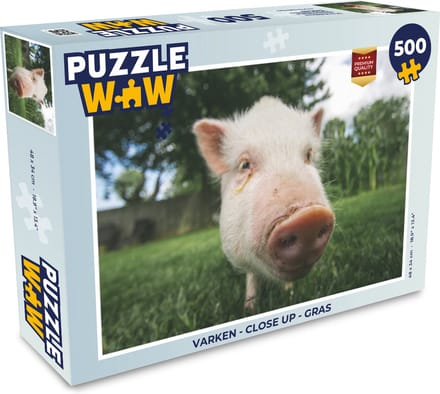 Puzzel Varken - Close up - Gras - Legpuzzel - Puzzel 500 stukjes