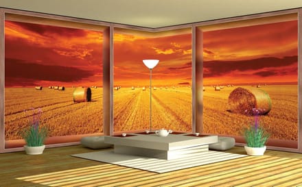 Fotobehang Vlies Natuur | Oranje | GROOT 624x219cm