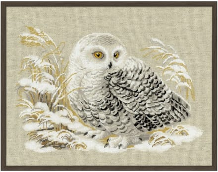 Borduurpakket Witte Uil